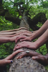 Manos unidas sobre el tronco de un árbol